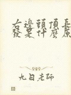 右边头顶长白头发是什么原因