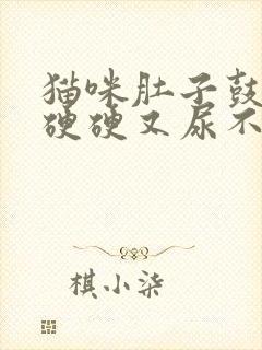 猫咪肚子鼓鼓的硬硬又尿不出怎么回事