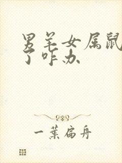 男羊女属鼠结婚了咋办