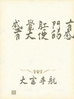 感觉肛门有下坠有大便的感觉