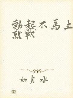 勃起不马上插入就软