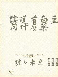 阴道有白豆腐渣用什么药