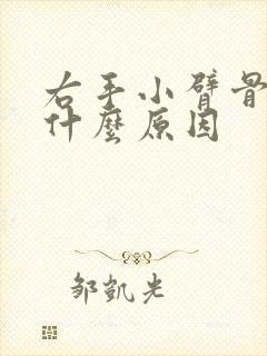 右手小臂骨头疼什么原因