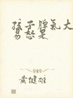 孩子脾气大暴躁易怒是