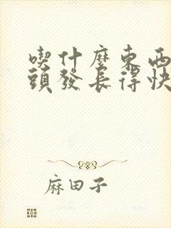 吃什么东西能让头发长得快