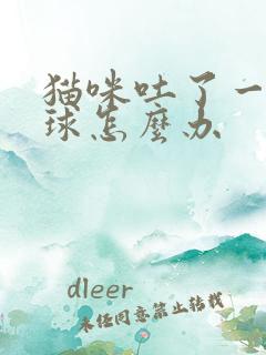 猫咪吐了一坨毛球怎么办