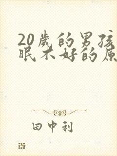 20岁的男孩睡眠不好的原因