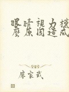 眼睛视力模糊什么原因造成的