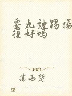 睾丸被踢伤能恢复好吗