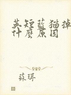 英短蓝猫掉毛是什么原因