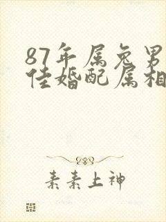 87年属兔男最佳婚配属相