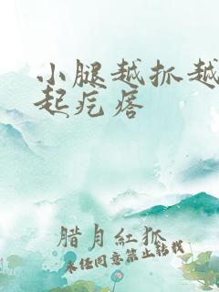 小腿越抓越痒后起疙瘩