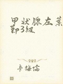 甲状腺左叶小结节3级