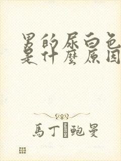 男的尿白色的尿是什么原因