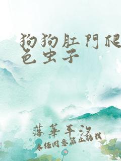 狗狗肛门爬出白色虫子