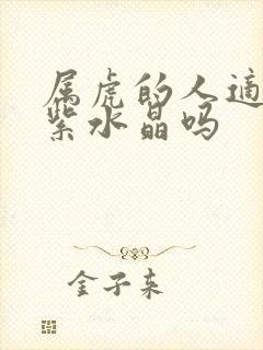 属虎的人适合戴紫水晶吗