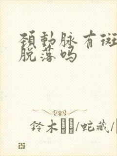 颈动脉有斑块会脱落吗