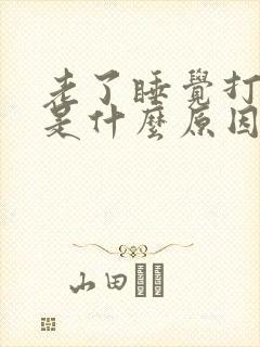 老了睡觉打呼噜是什么原因引起的