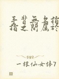 手背无名指和中指之间属于哪条经络