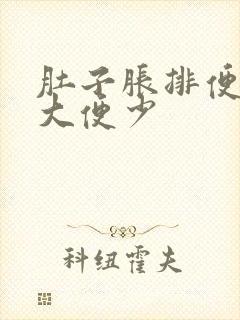 肚子胀排便困难大便少