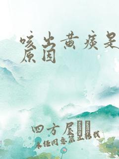 咳出黄痰是什么原因