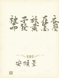 被子放在衣柜里面发黄怎么办