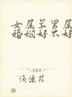 女属羊男属兔的婚姻好不好