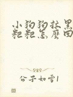 小狗狗拉黑色的粑粑怎么回事