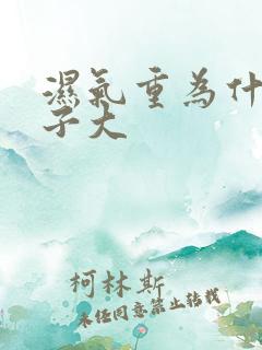 湿气重为什么肚子大