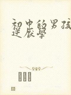 初中的男孩子叛逆厌学