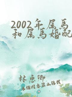 2002年属马和属马婚配