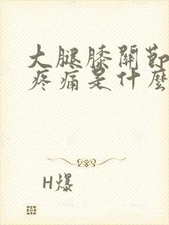 大腿膝关节内侧疼痛是什么原因引起的