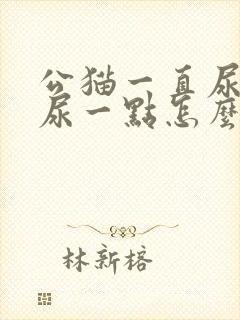 公猫一直尿一次尿一点怎么回事