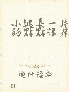 小腿长一片红色的点点很痒