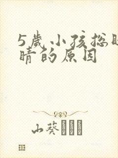 5岁小孩总眨眼睛的原因