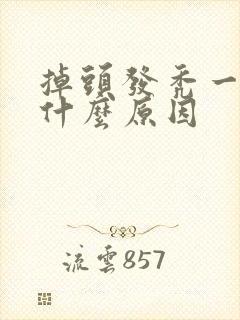 掉头发秃一块是什么原因