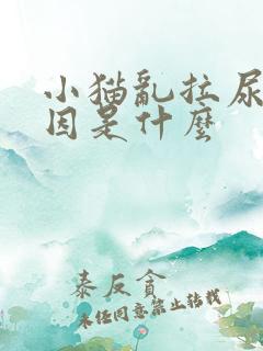 小猫乱拉尿的原因是什么