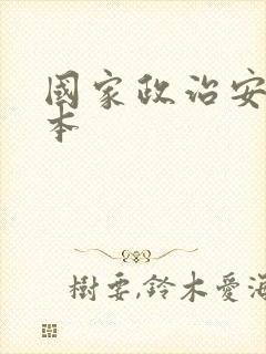 国家政治安全根本