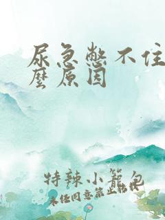 尿急憋不住尿什么原因