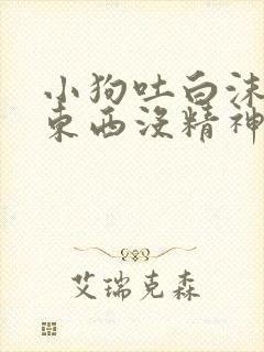 小狗吐白沫不吃东西没精神拉血