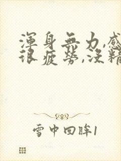 浑身无力,感觉很疲劳,没精神,什么原因