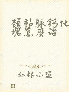 颈动脉钙化形斑块怎么治