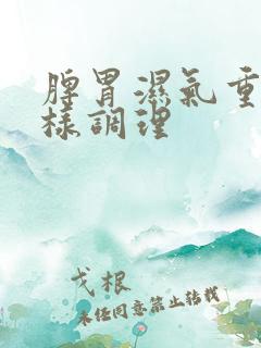 脾胃湿气重怎么样调理