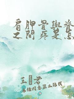 肩胛骨与脊椎骨之间疼是怎么回事