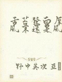 舌苔发白厚腻是风寒还是风热