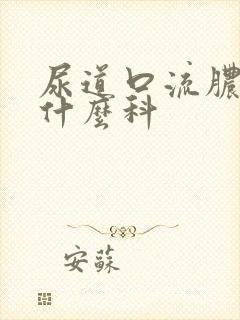 尿道口流脓液看什么科