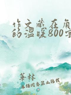 作文藏在角落里的温暖800字