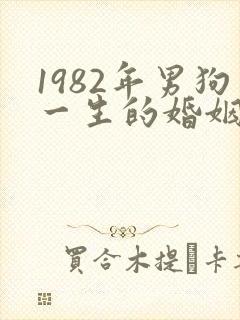1982年男狗一生的婚姻和命运