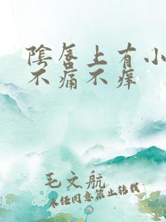 阴唇上有小肉粒不痛不痒