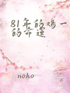 81年的鸡一生的命运